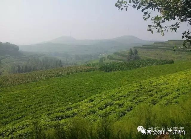 西行纪最后片段,西行纪第22天终结篇