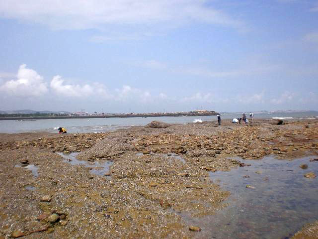 一轮骄阳升日照，二夜美梦伴海涛，三天渔家海鲜饱朋友同行欢笑多