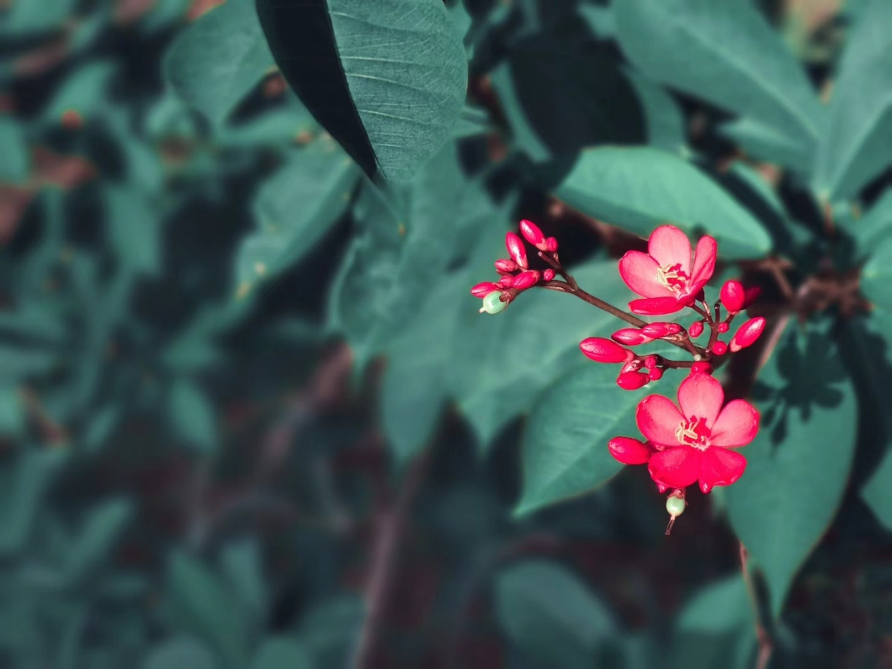 会计专业大学月薪多少,二本会计专业毕业后月薪多少