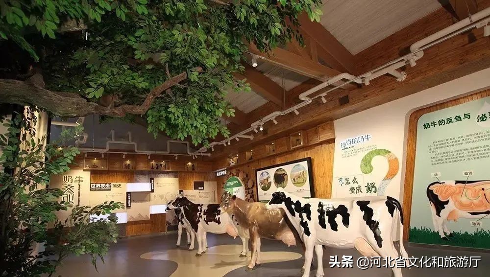 一鹿走来鹿泉,一路走来的最新视频