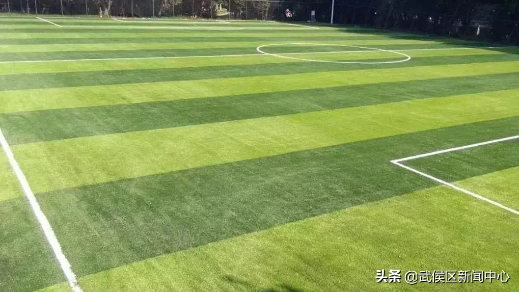 公共运动场地,成都室内大型运动场地