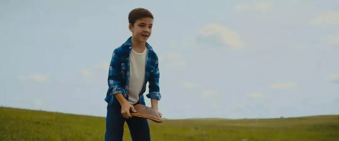 暖心治愈萌宠电影,萌宠电影超感人