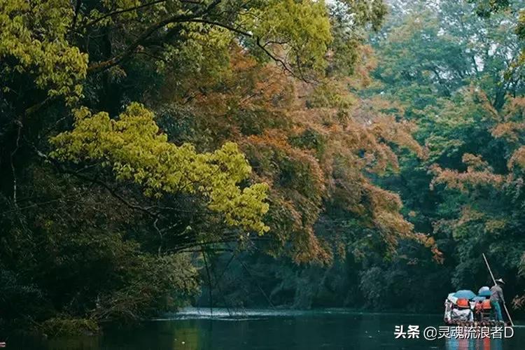 秋天是好闻的桂花香,桂花香才是秋天的灵魂