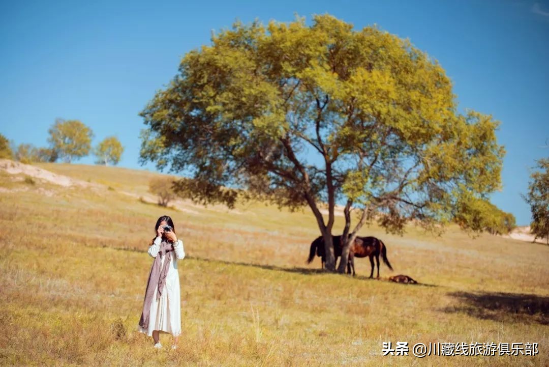 和爱旅行的人结婚,后来都怎样了?