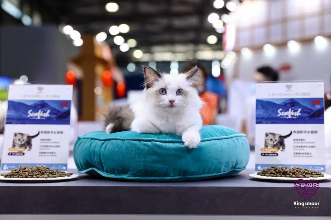 去亚宠展东西很便宜吗,亚宠展攻略快速扫货必备