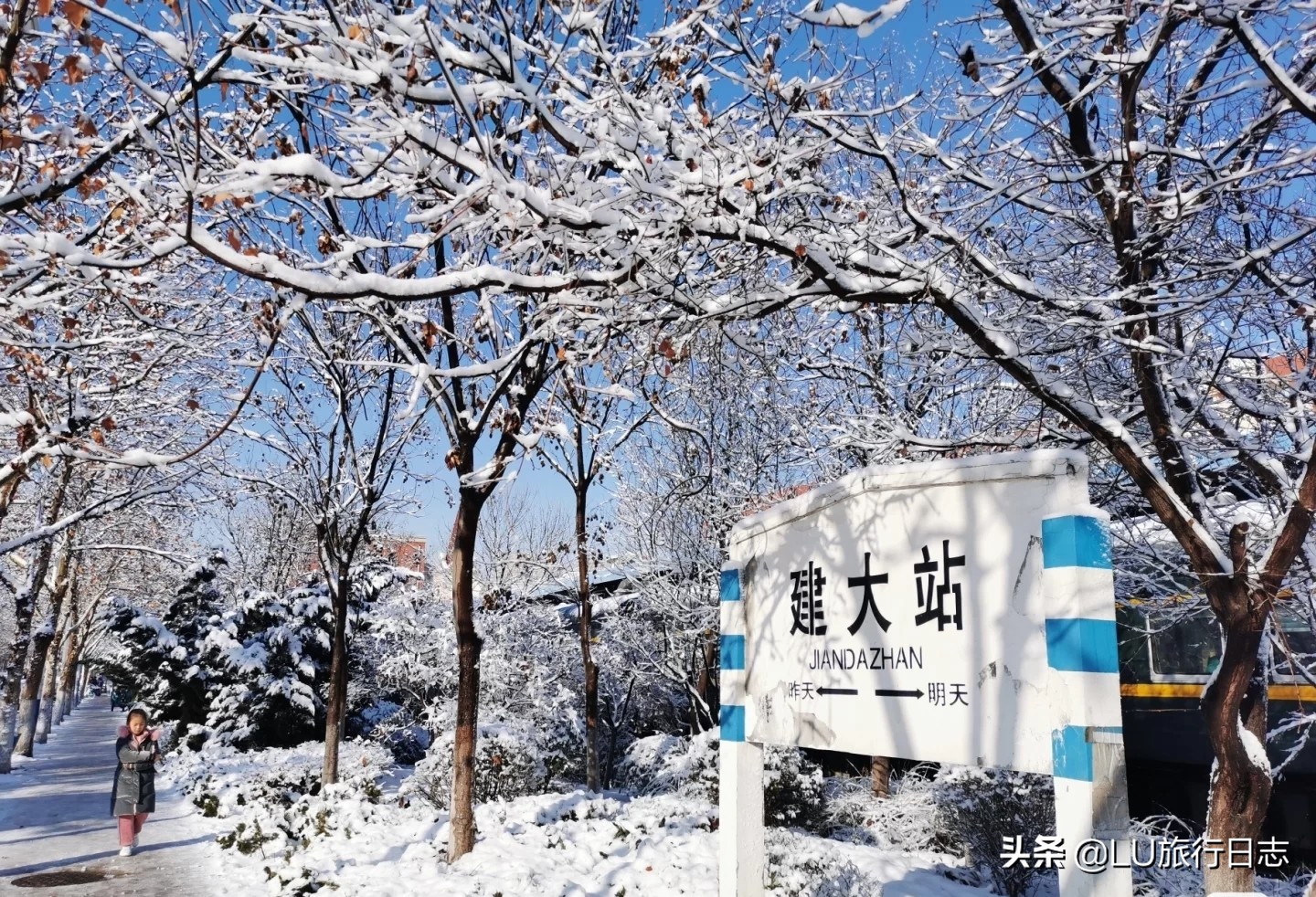 2023山东高考大学推荐,高考学子看过来