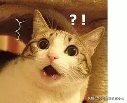 日本网红眼药水是什么,加拿大禁售日本眼药水