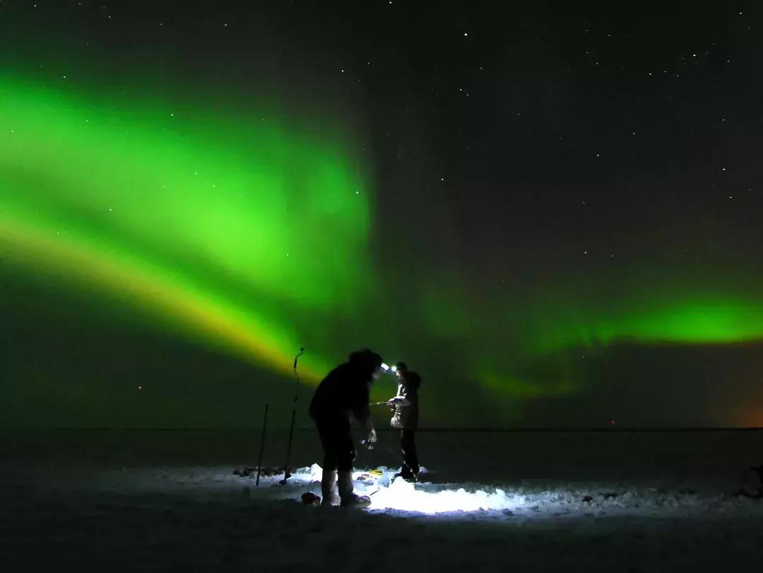 斑马旅游优缺点,斑马旅游2019