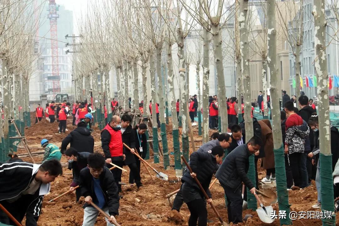 万人助万企活动开展情况汇报,万人助万企活动案例