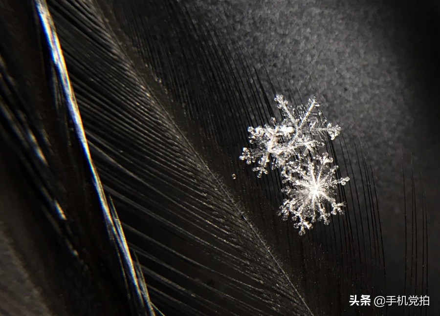 手机拍摄雪花的正确方法,手机拍雪花微距