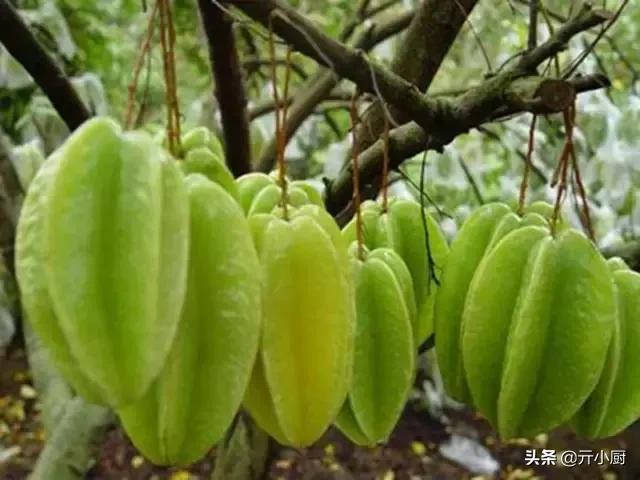 海南三亚值得带的特产,三亚海鲜干货特产在哪买便宜