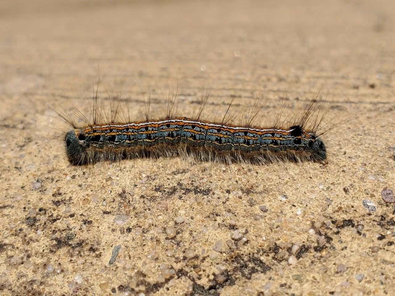 三星s10+真实评测,三星s10+深度测评