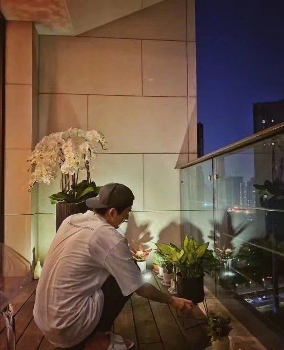 张翰最有钱的一张照片,张翰为什么那么有钱