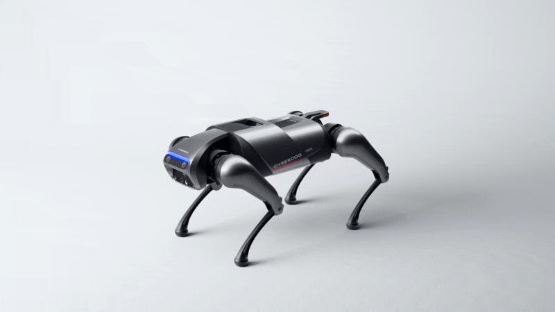 雷军铁蛋视频,雷军小米机器狗