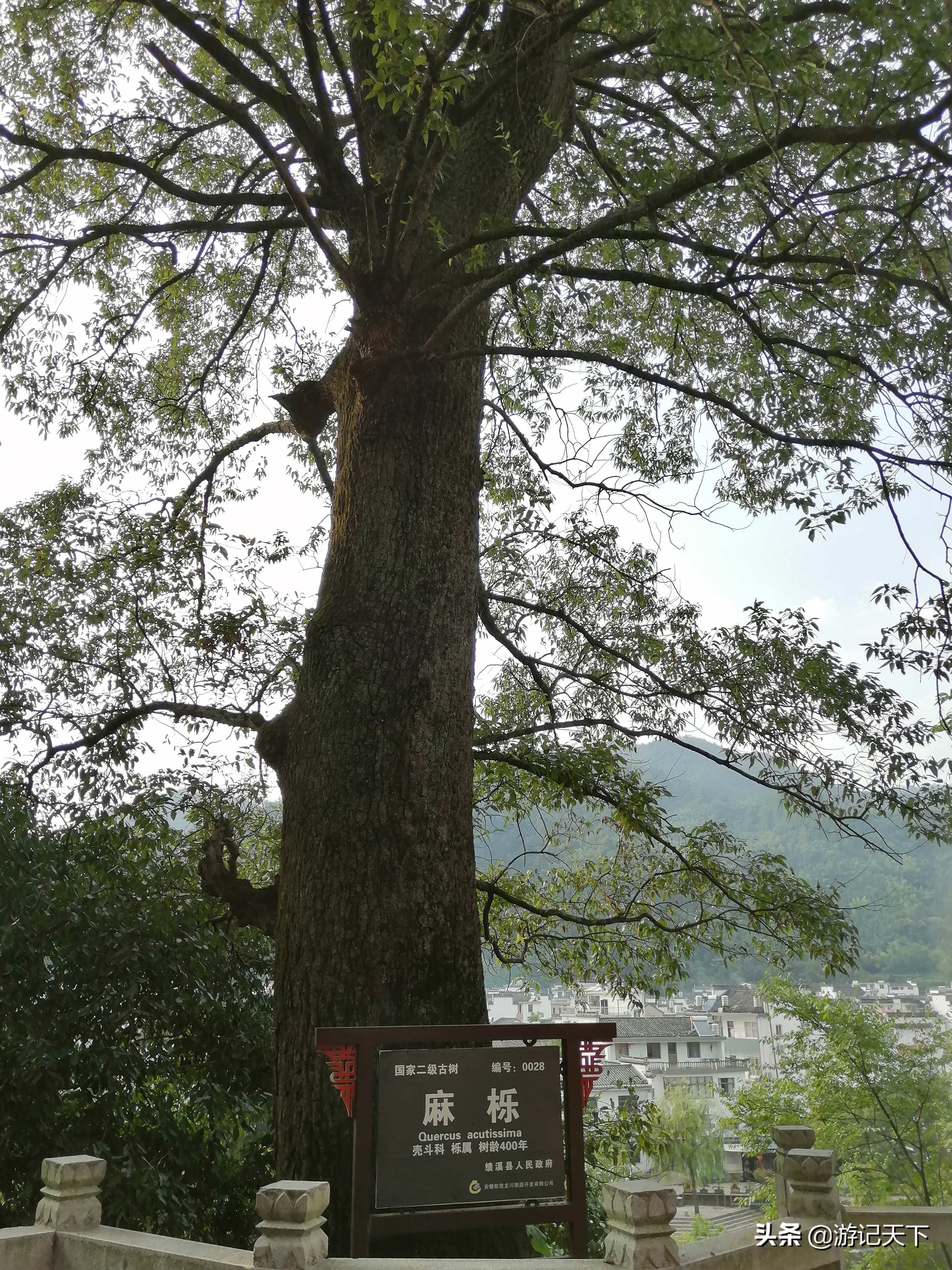 龙川新龙川,龙川东至龙川西