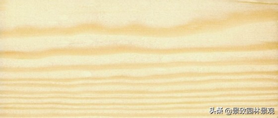 木纹最好看的木材图片,各种木材纹理图片与名称
