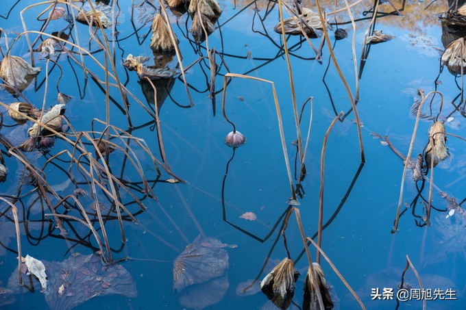 从沈阳去三亚旅游攻略路线推荐图,沈阳旅游攻略三日游最佳路线
