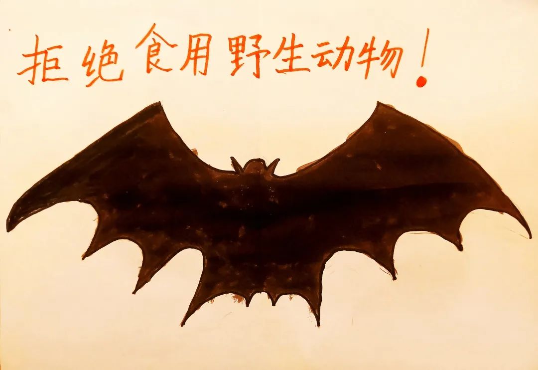 noeat鑻辫,noeat