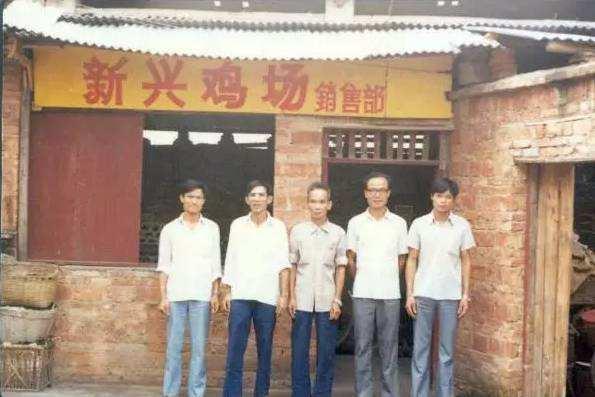 温氏集团养鸡行业,温氏养猪发展史