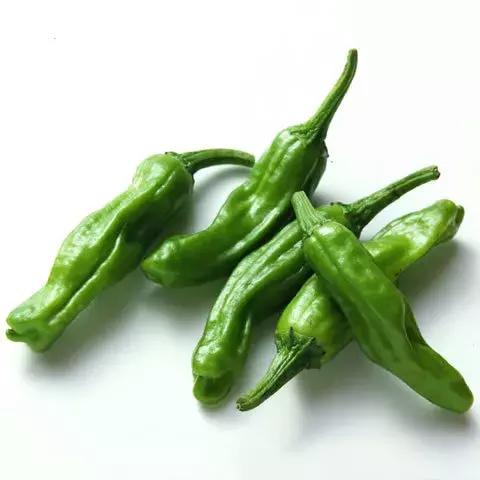 日本人喜欢辣椒吗 (日本人对辣椒的热爱)