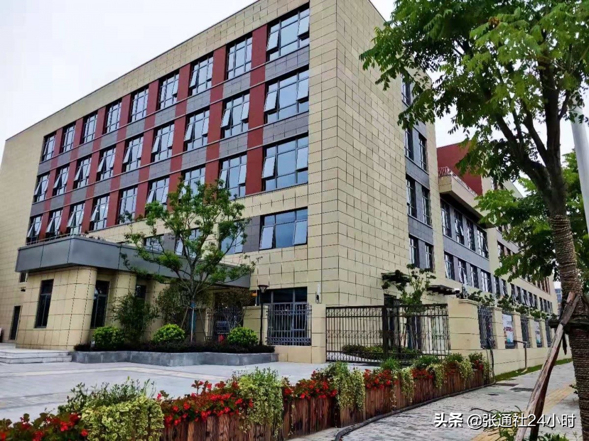 张江新建学校,上海张江新建学校2024年