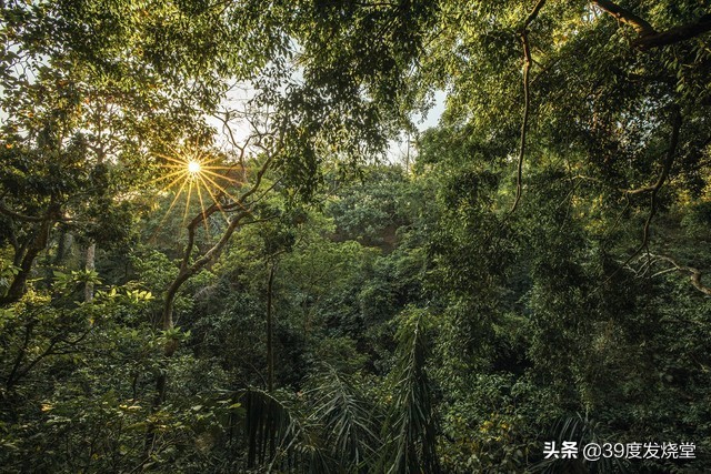 浣宠兘骞胯闀滃ご15-35,浣宠兘rf骞胯闀滃ごrf18