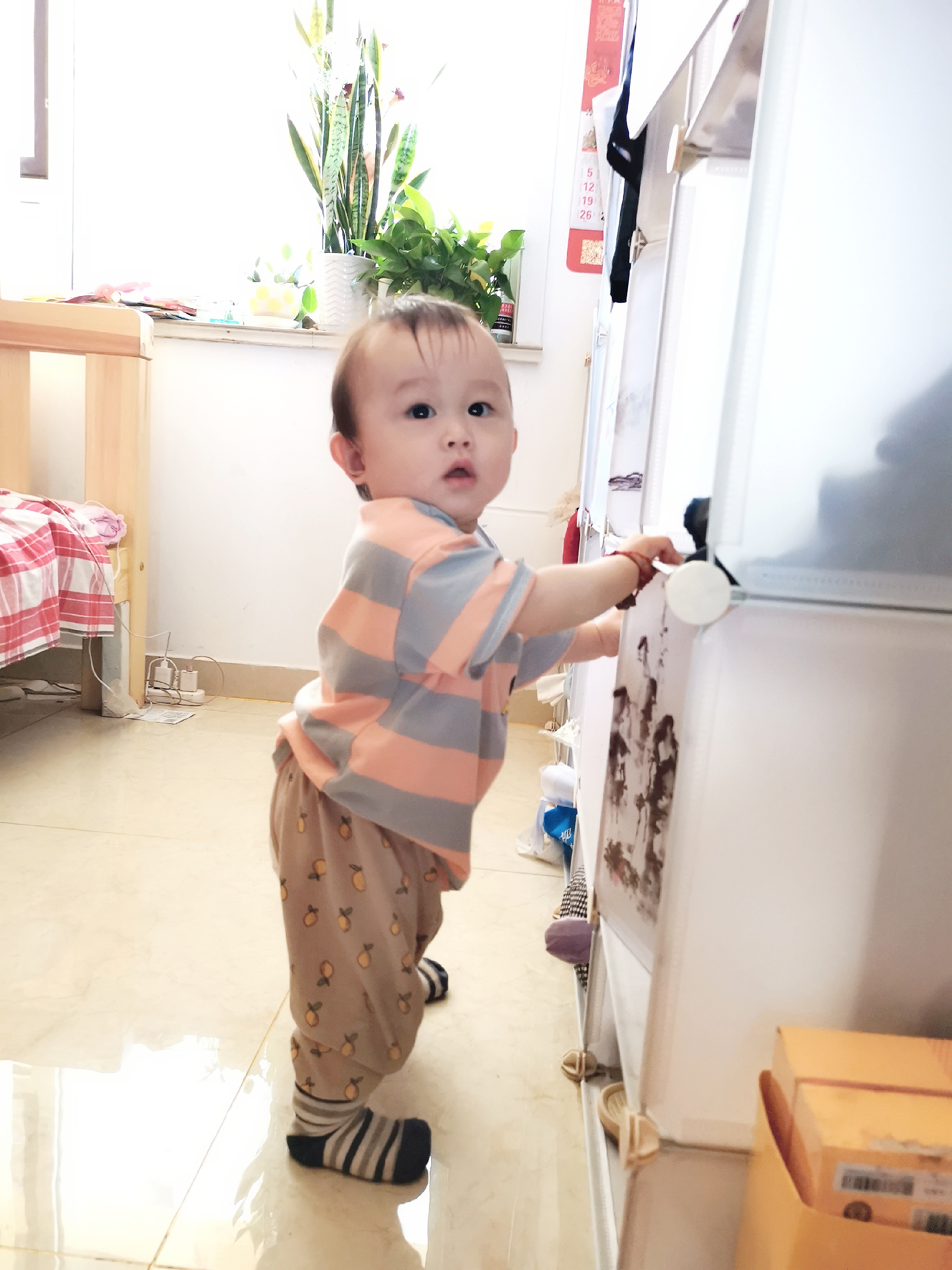 宝宝拉肚子发烧38度多怎么处理,婴儿拉肚子发烧反反复复怎么办