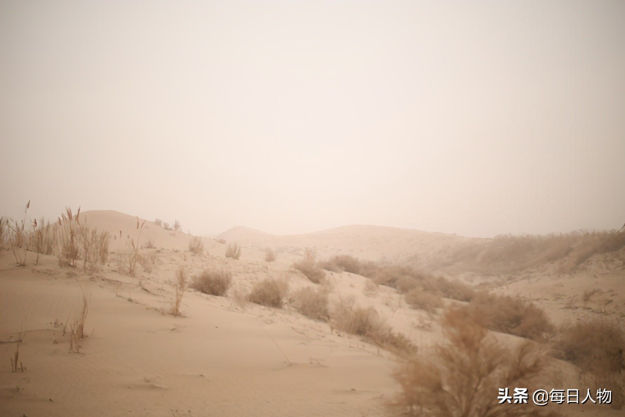 爬两个小时黄山光明顶看日出,登上山顶看美景黄山一日游结束