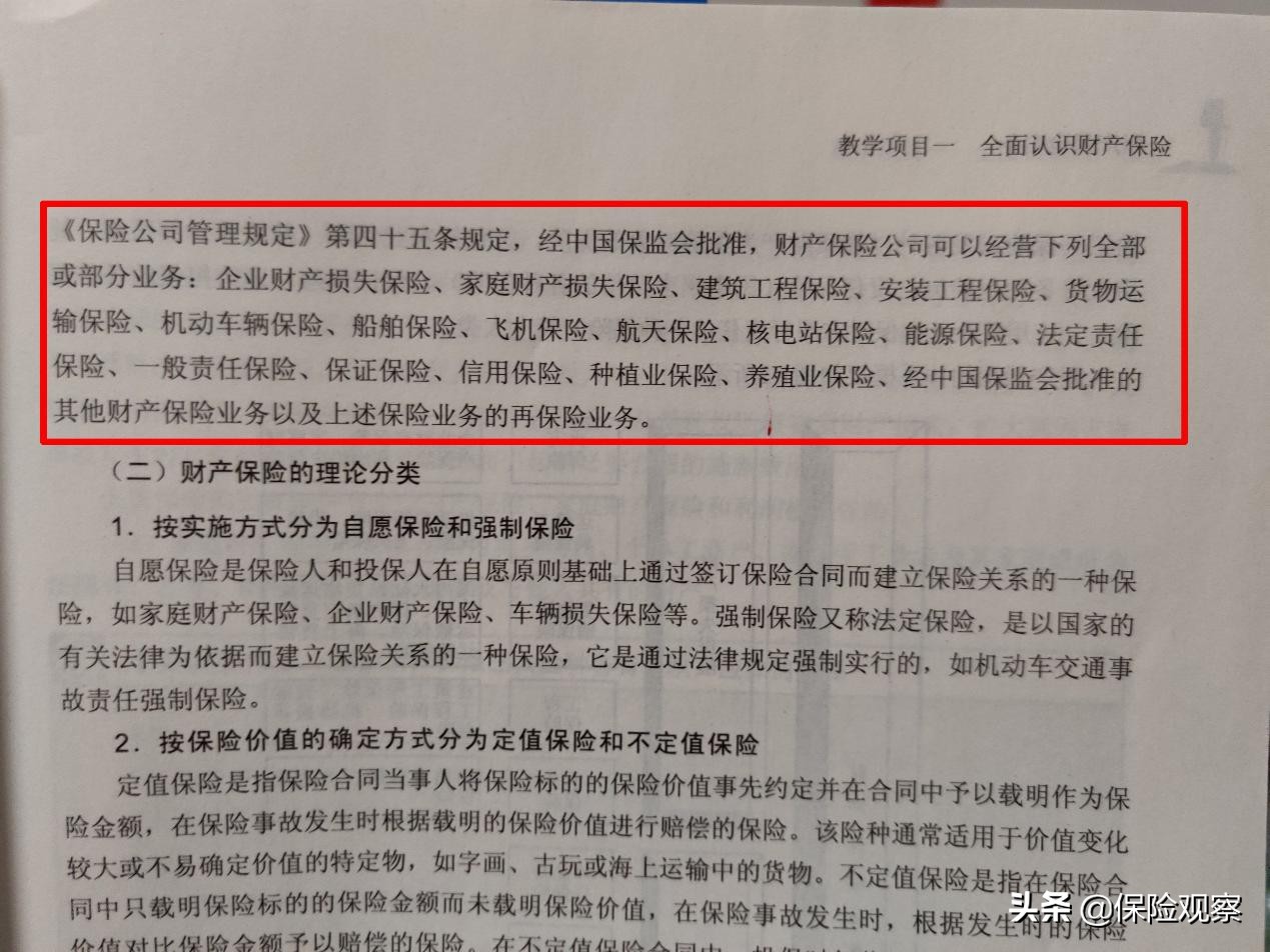 关于“树”能不能买保险的探究之旅