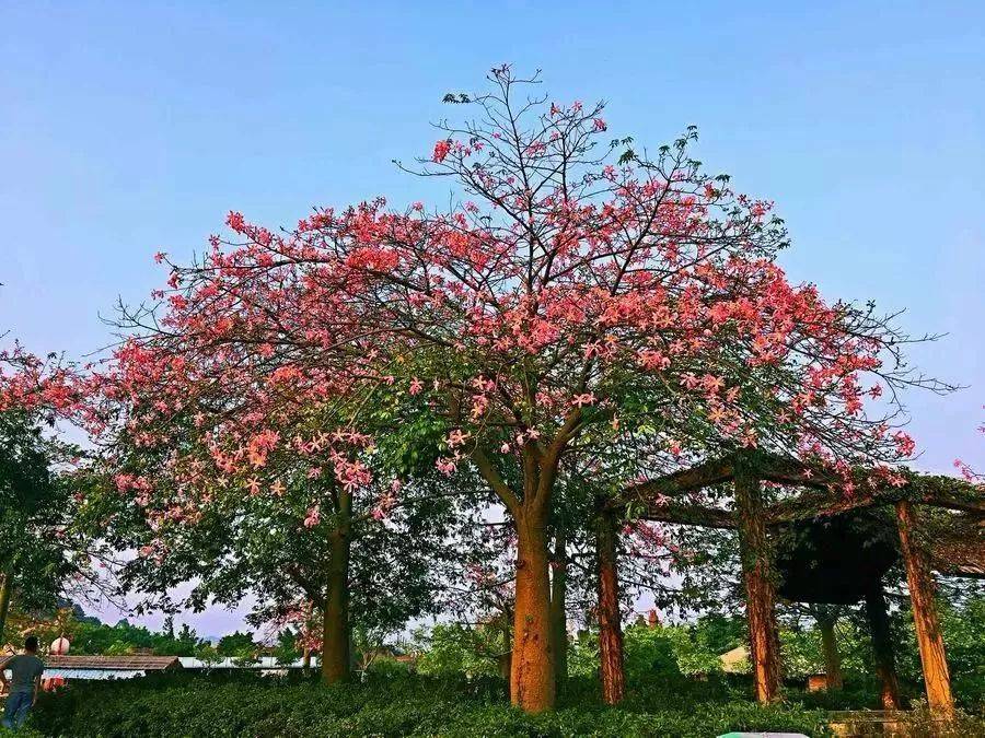 清远森波拉温泉度假村酒店好玩吗,清远森波拉温泉度假酒店附近景点