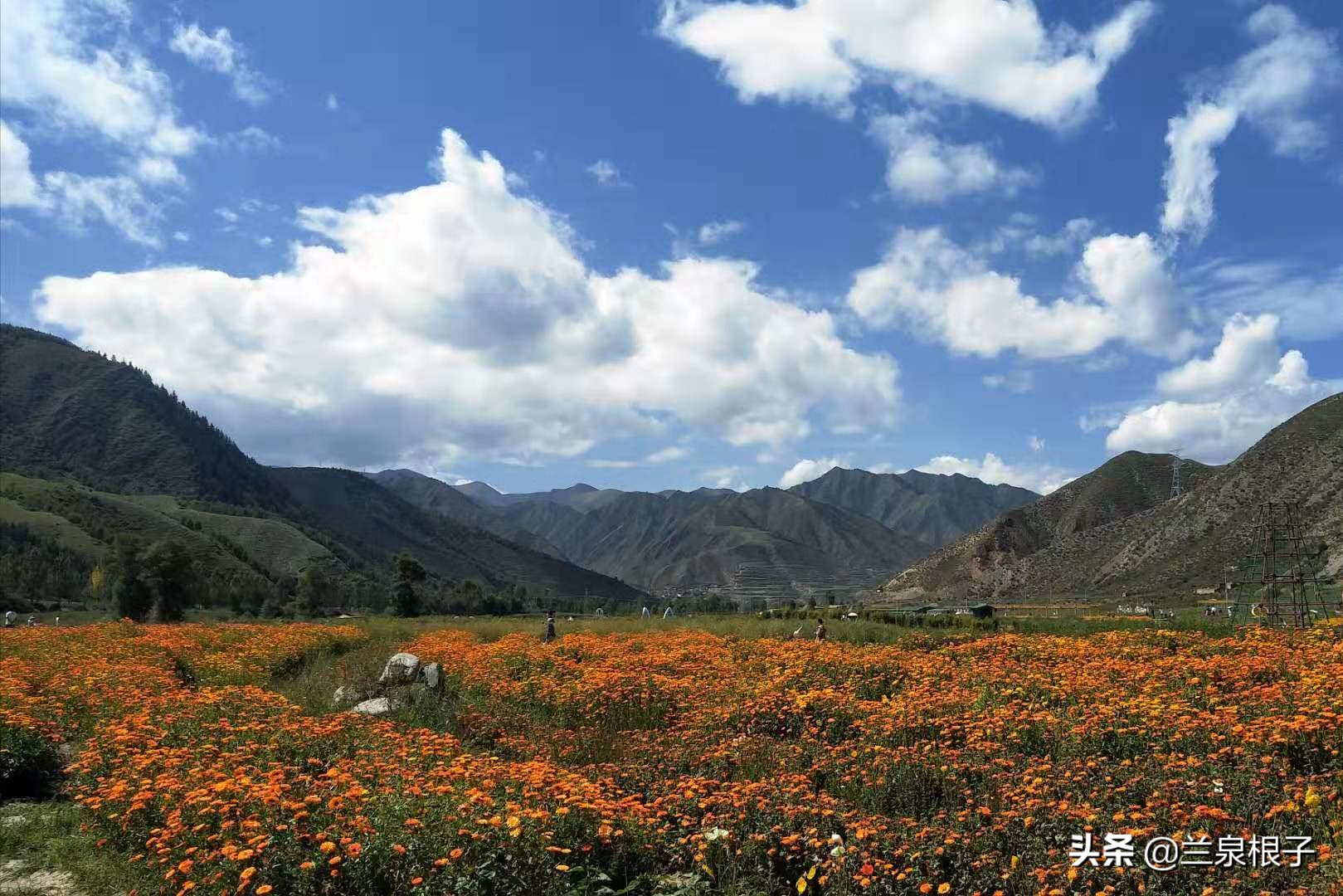 夏河县达尔宗湖景区电话,夏河县达尔宗湖游玩攻略
