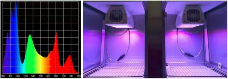 植物生长箱的应用,植物生长箱选择