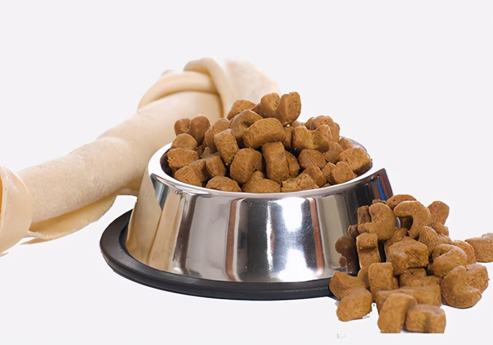 新手养幼犬需要注意哪些,幼犬拉稀禁食怎么看它好了