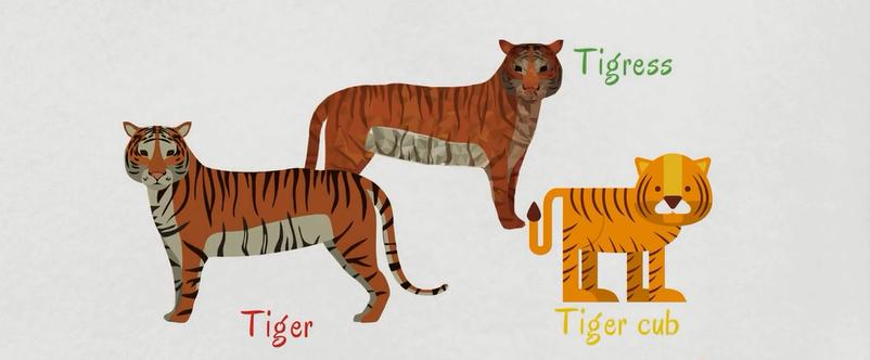 动物英语名称视频大全,兔小贝英语宝典动物名称