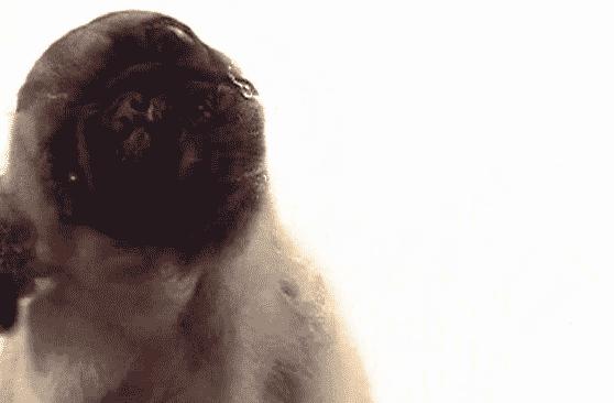 盘点那些无聊又有趣的软件,奇葩有趣的网站