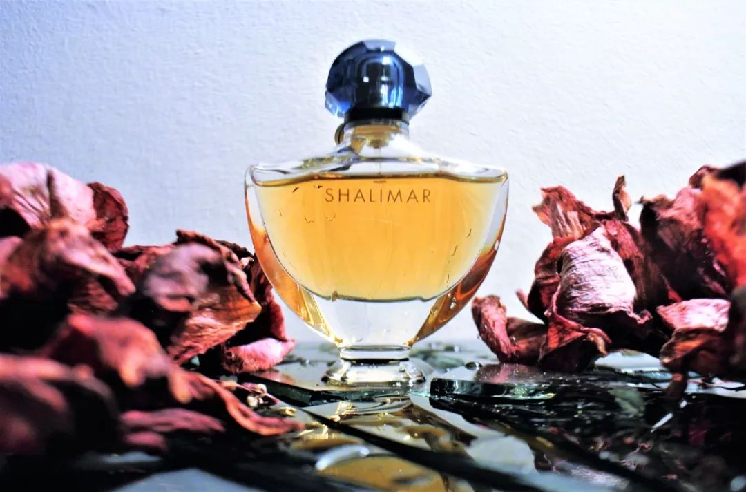 有体味了怎么办,为什么总是有体味