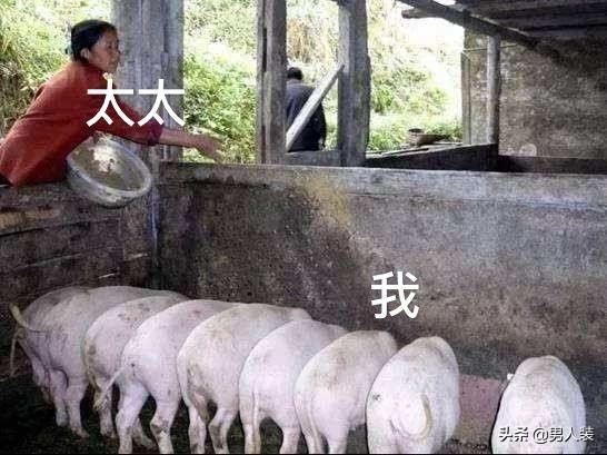 赵四刘能cp头像连图,刘能和赵四的cp名字