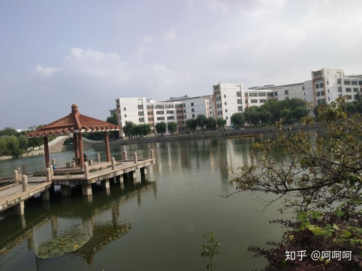 青岛农业大学机械类在哪里就读,青岛农业大学在哪里读