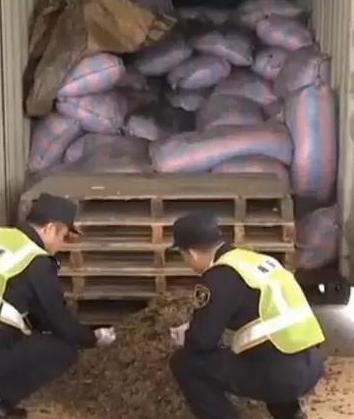 收穿山甲被处罚,穿山甲被判刑案例