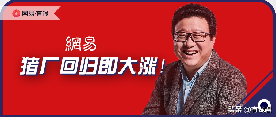 哈哈哈！那些打了网易新股的人，现在已经笑出声了