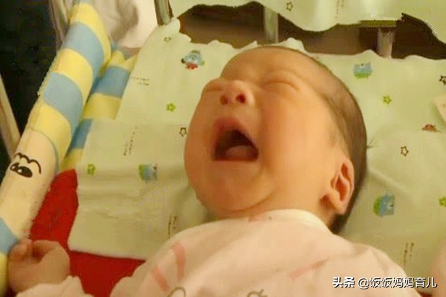 今年出生的猪宝宝哪月出生最好,明年出生的猪宝宝几月份好