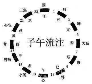 仙丹非仙丹，神药非神药：保健品市场红火背后