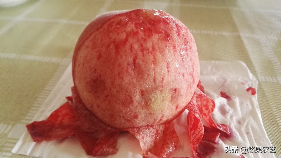 种桃树有什么讲究桃树怎么管理,桃树种植管理方法及注意事项