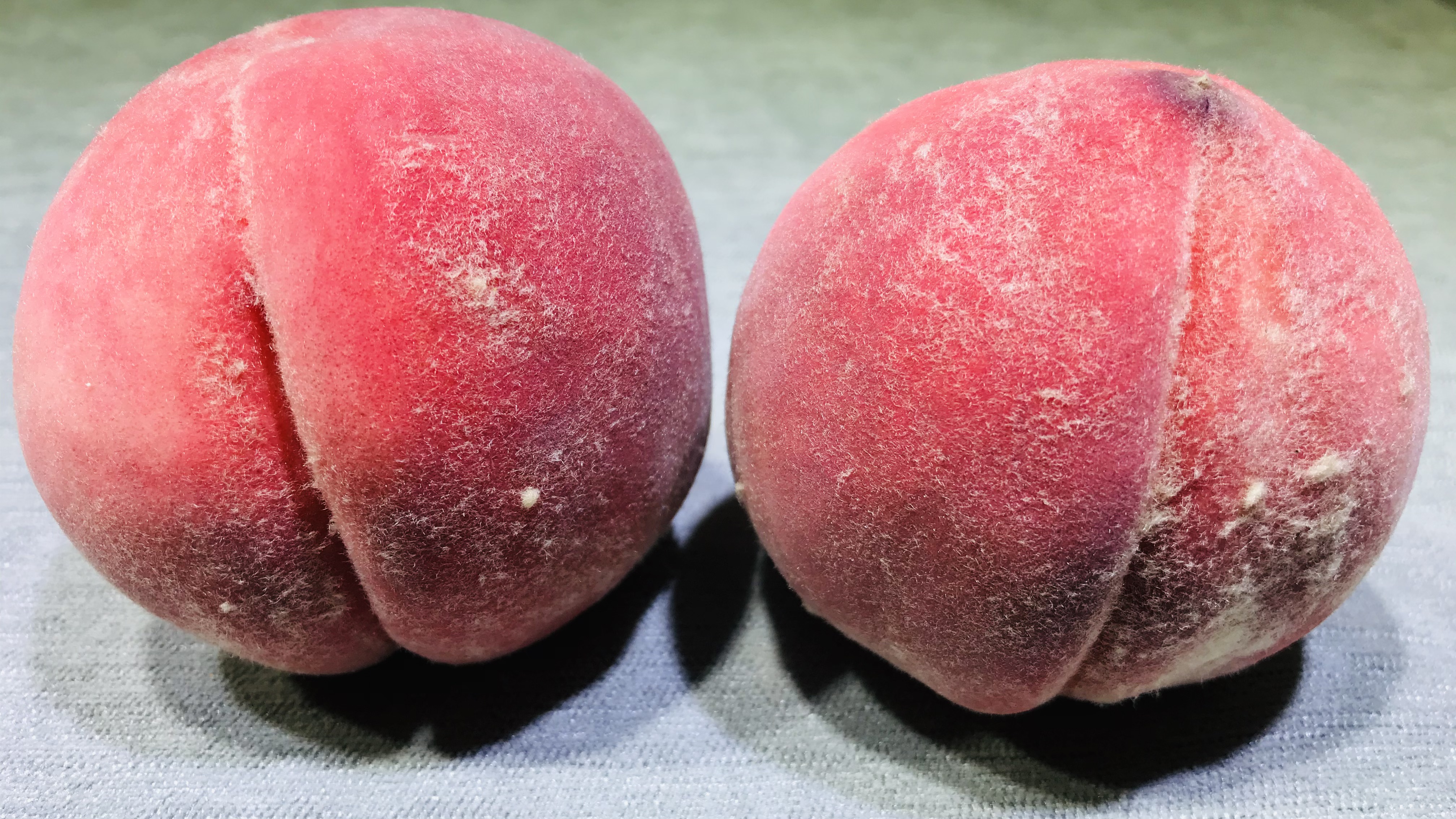 桃子甜不甜好吃,桃子不甜怎么变甜