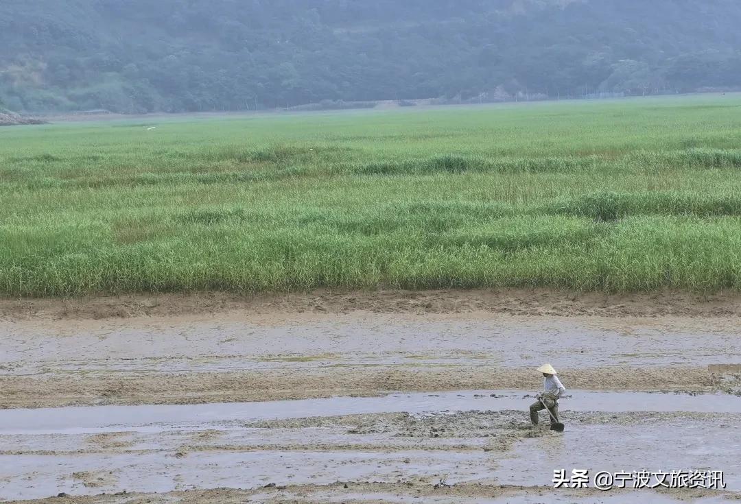 新桥玩的地方,新桥有哪些可以游玩的地点