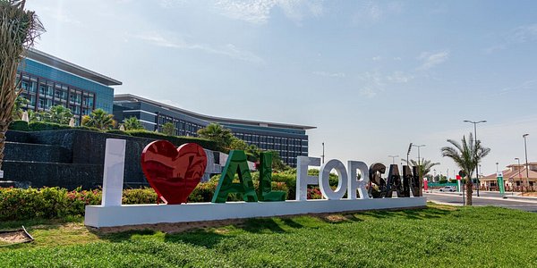 阿布扎比海边度假,海滩和沙漠