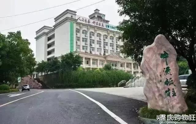 重庆小升初七龙珠择校信息汇总,重庆七龙珠初中分校最新排名