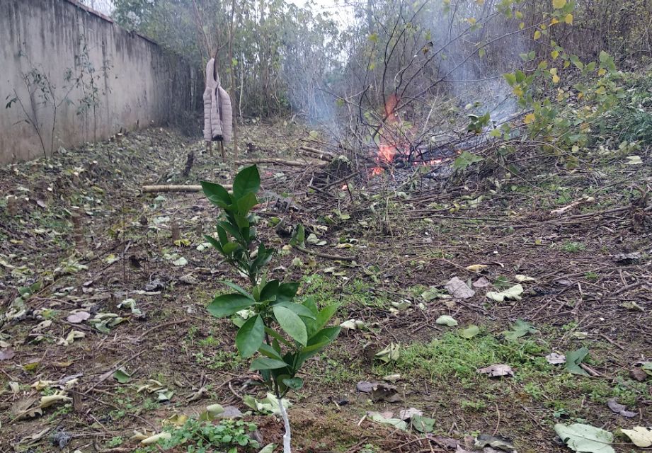 在农村用土地怎么创业,中年人在农村如何创业