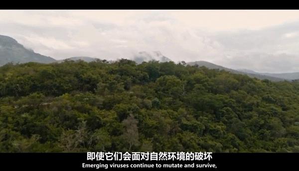 通过性传播艾滋病的概率有多大,通过性传播得艾滋病的概率