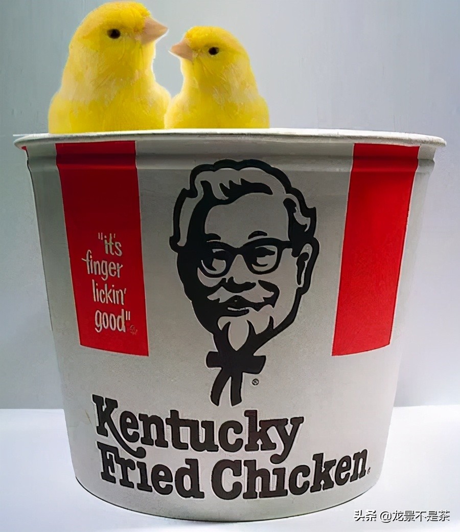 外国人解酒方式,各国奇葩醒酒解酒法